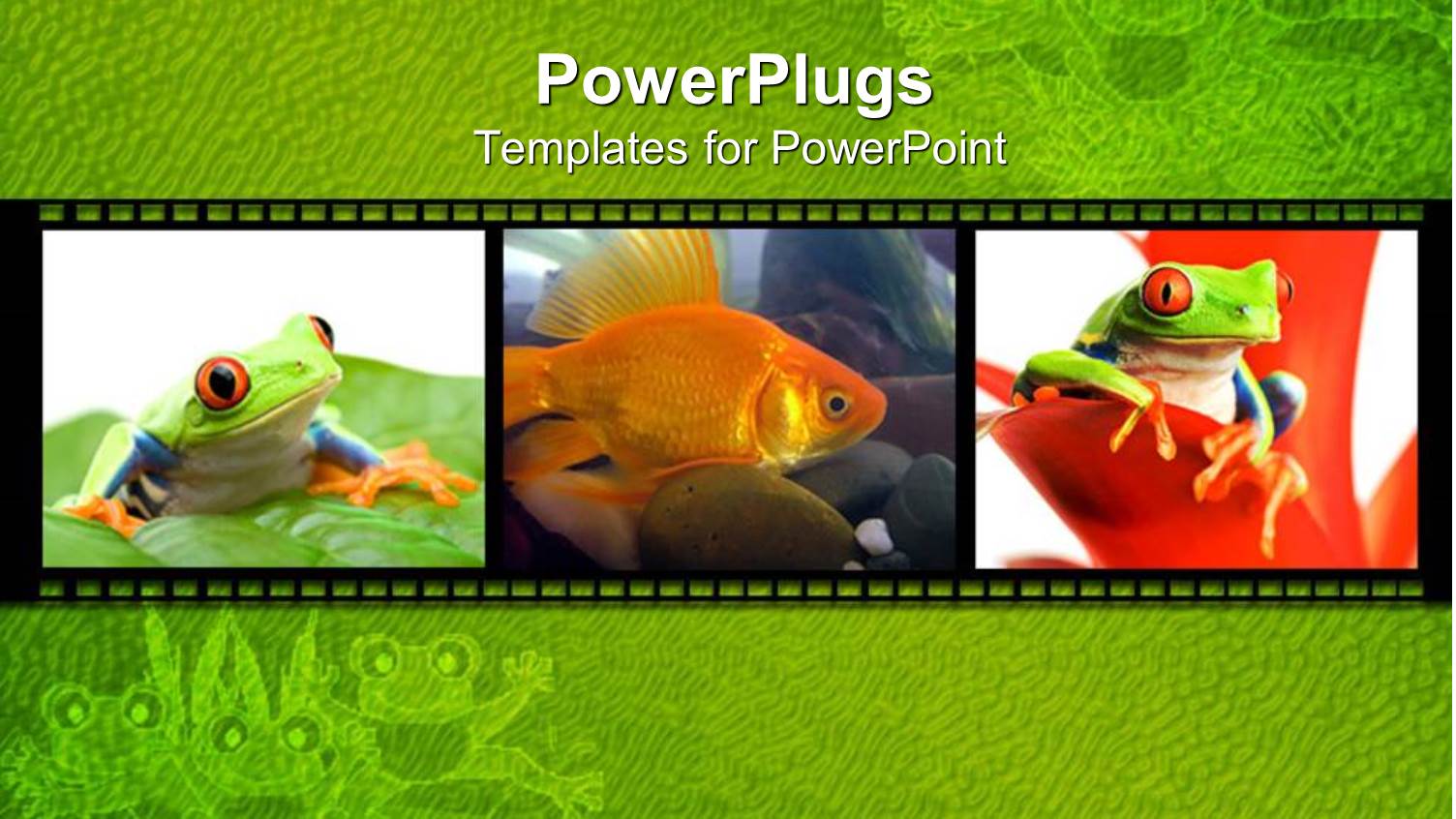 Collage of Three Depictions of little Green Frogs on Leaves and Goldfish in Water