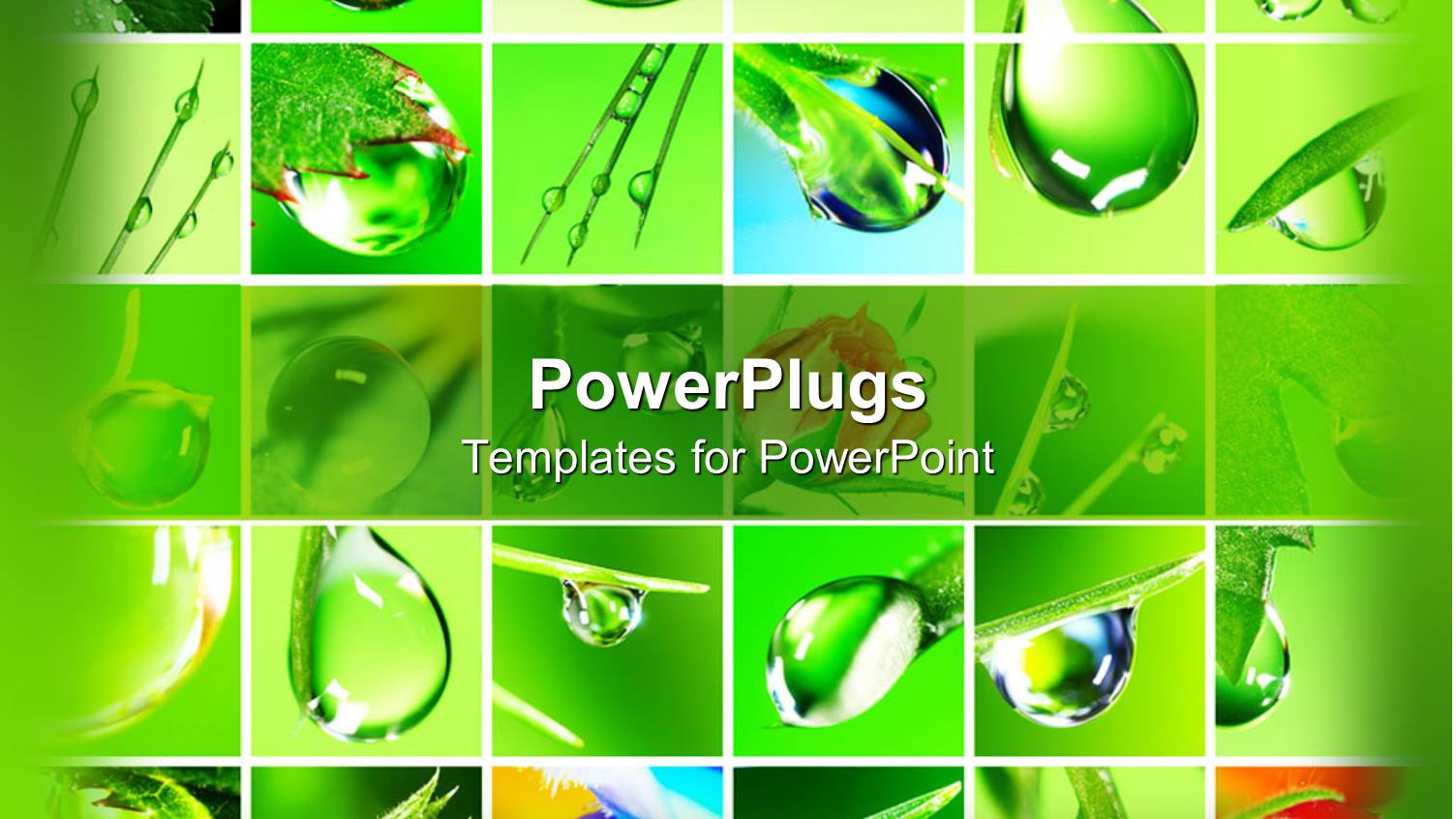 Collage of Water Drops in Fresh Green Setting, Fresh Rain Water Drops on Leaves