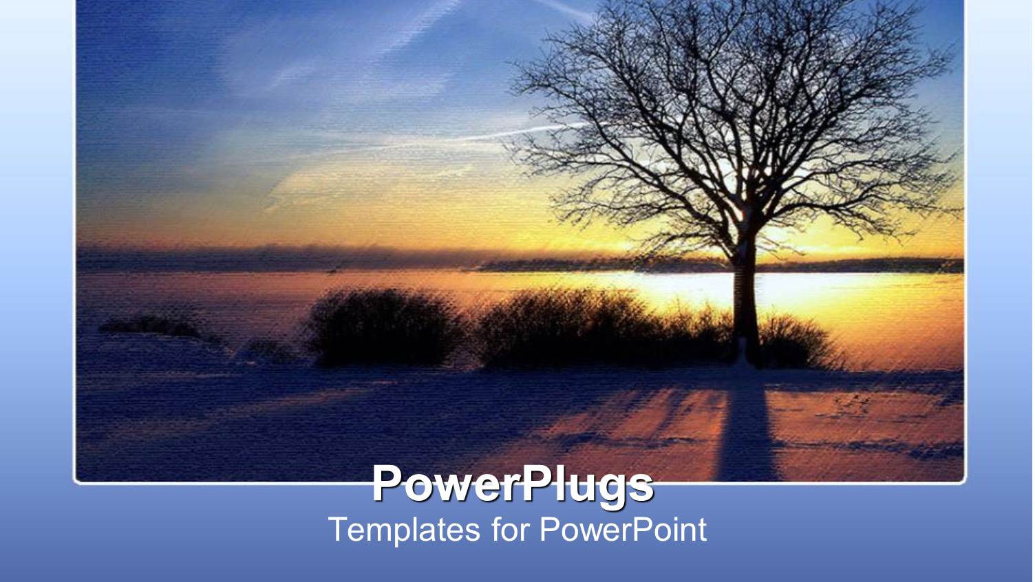 Collage of Winter Sunset Over Sea and Withered Tree on Blue Background