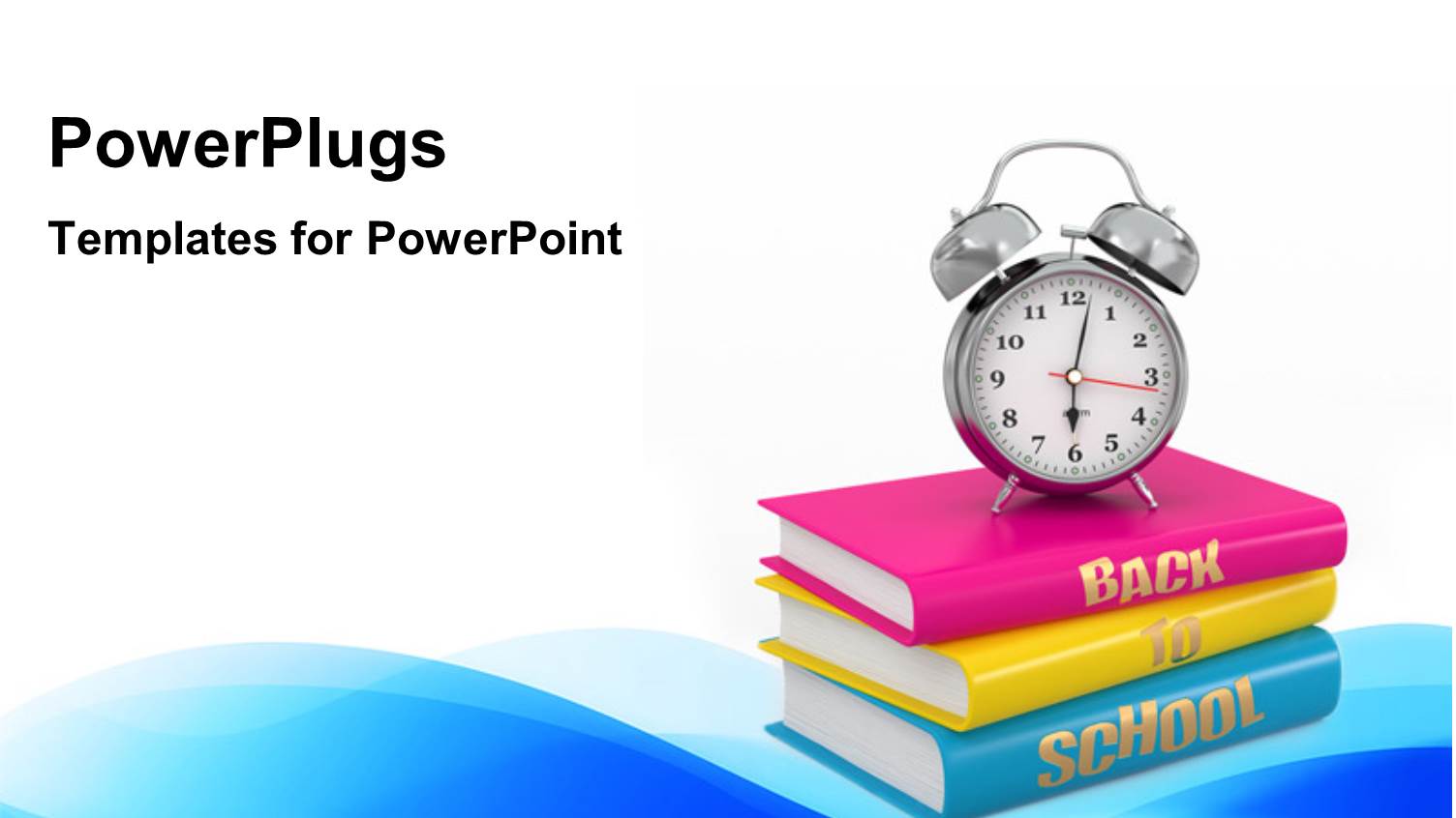 a Collection of Books with White Background