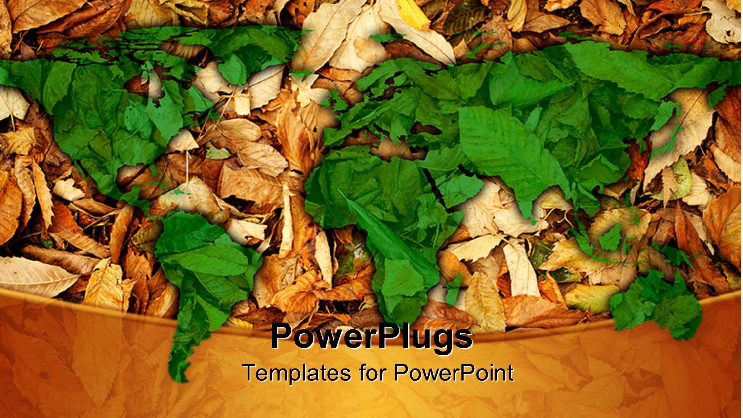 a Collection of Leaves with their Reflection in the Background