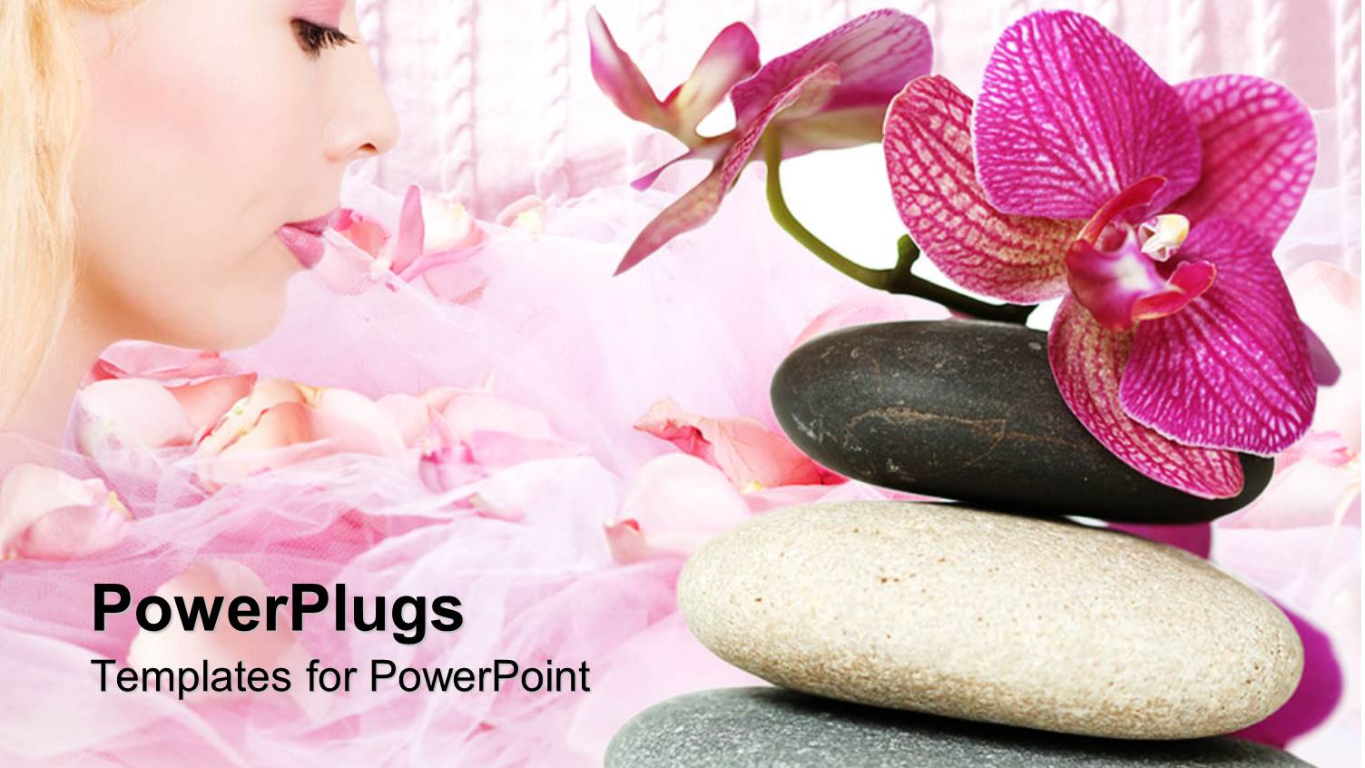 a Collection of Zen Stones and Flower Petals