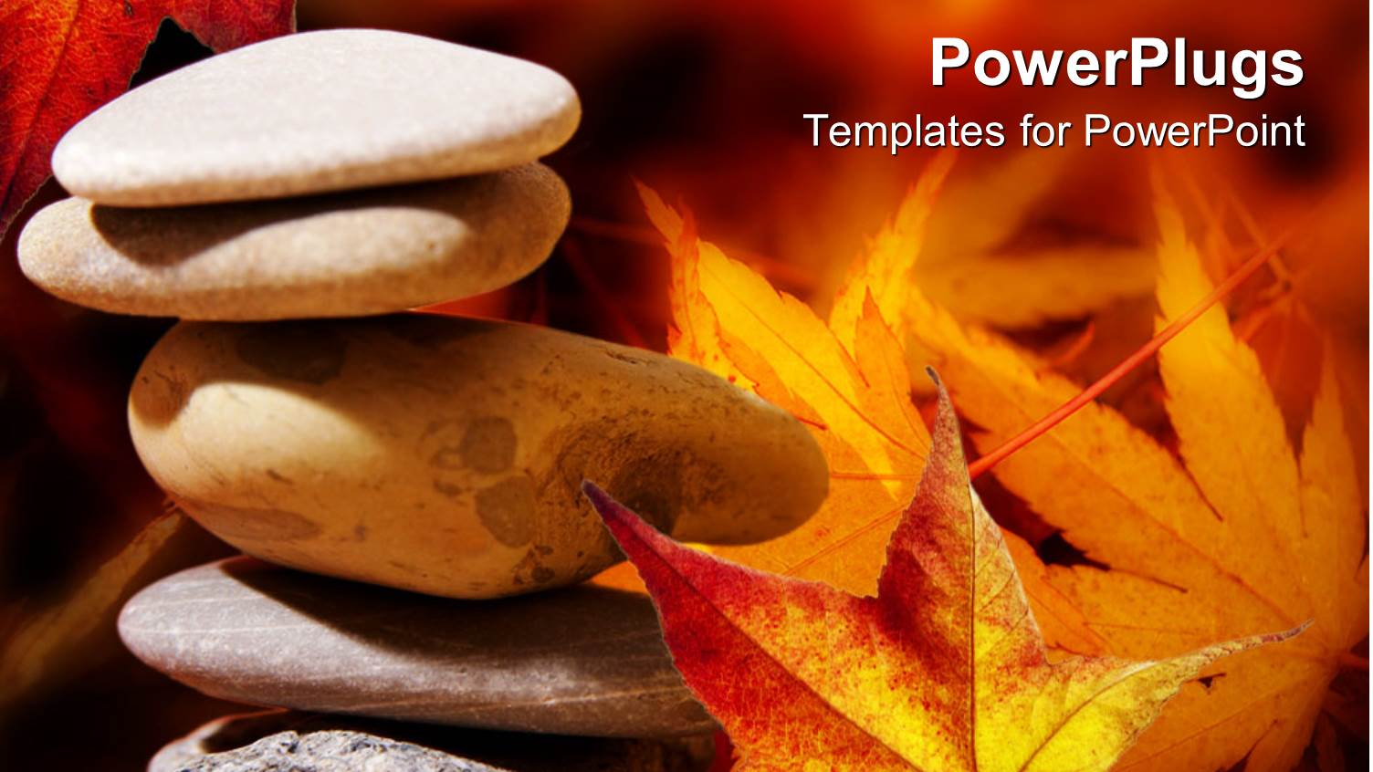 a Collection of Zen Stones with Leaves in the Background