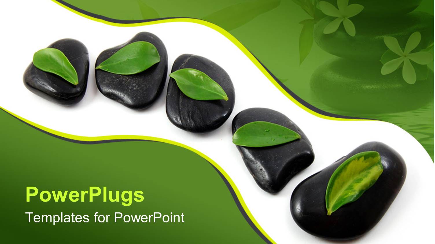 a Collection Zen Stones with Leaves on them and their Reflection in the Background