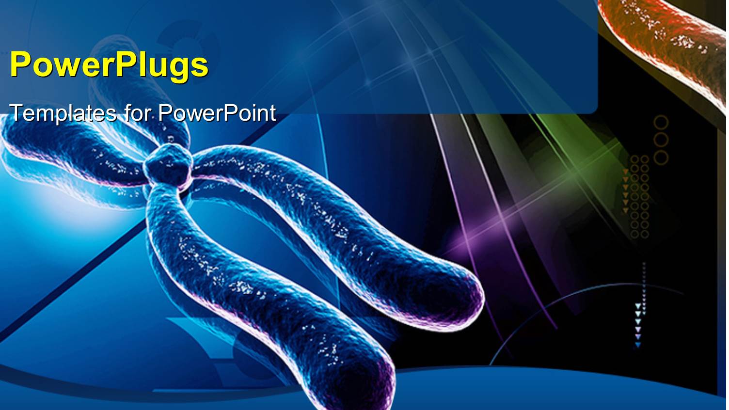 Colored Chromosomes on Abstract Digital Background