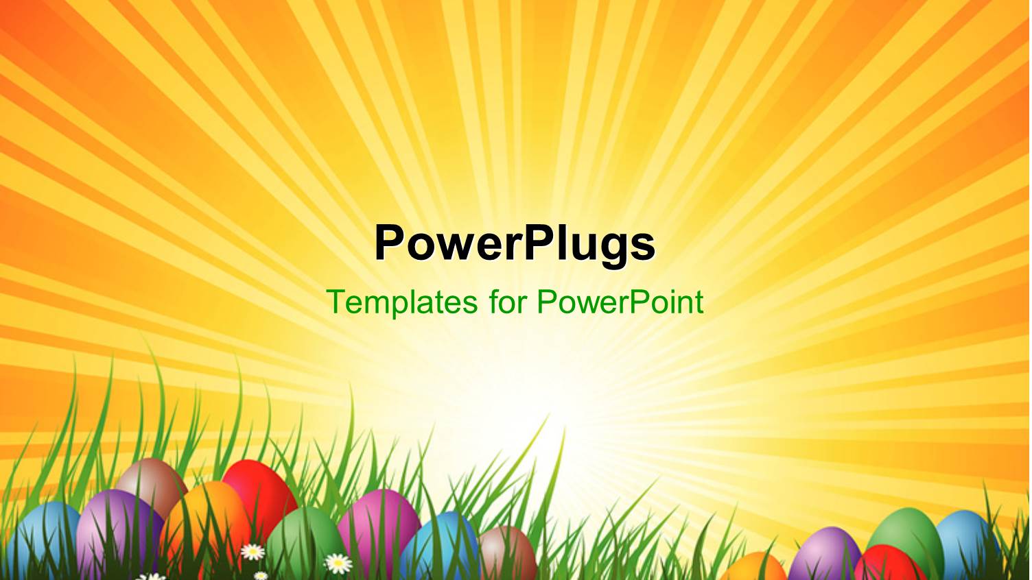 Colorful Easter Eggs  Arranged in Green Grass and White Flowers