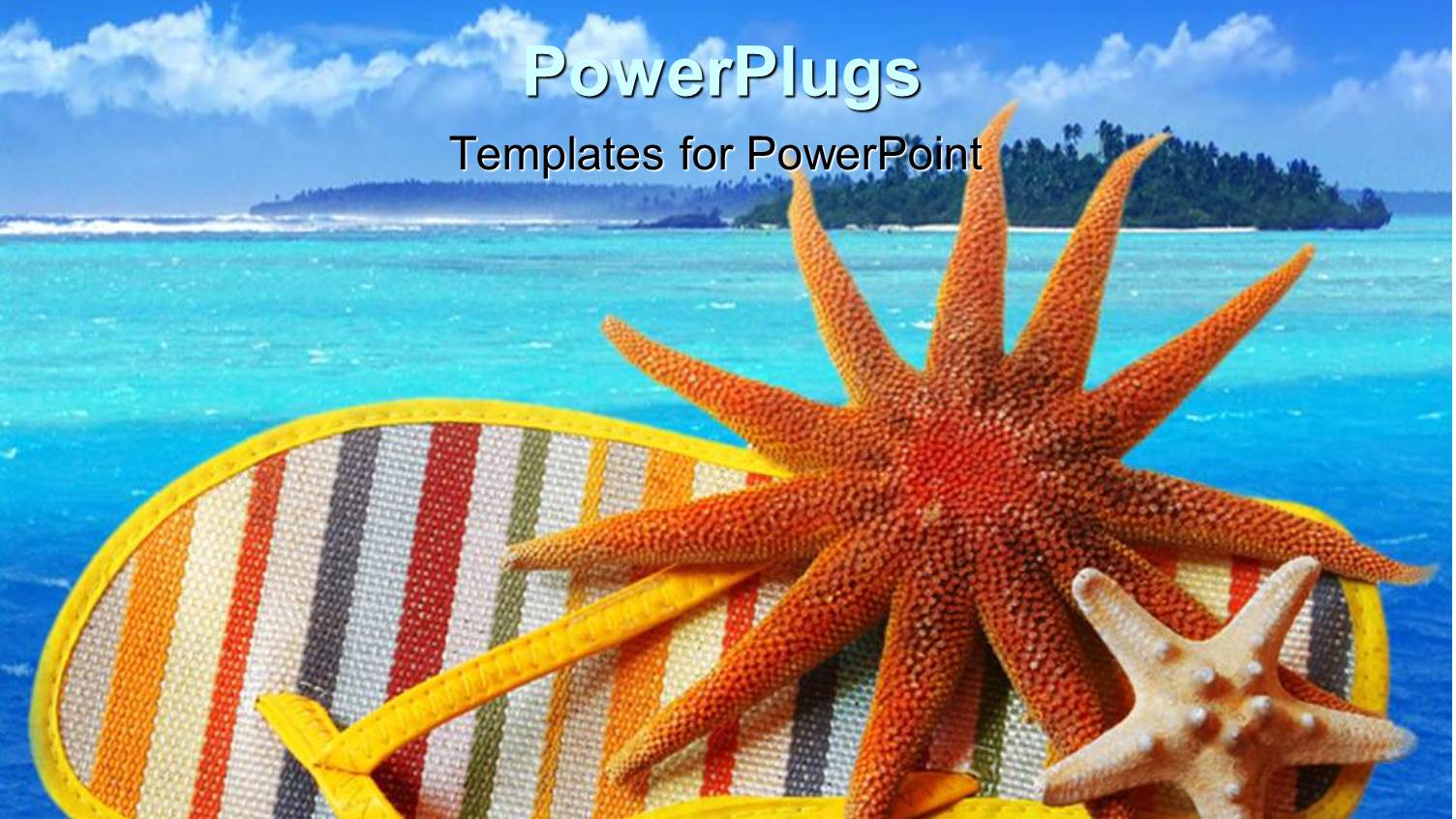 a Colorful Shoe and a Star and Jelly Fish