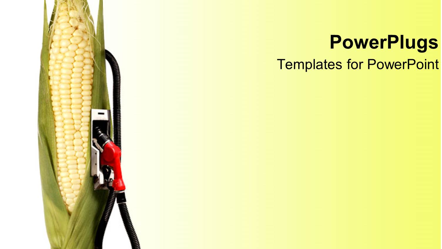 Cornstalk with Gas Pump Attached on it, on Gradient White to Bright Yellow Background