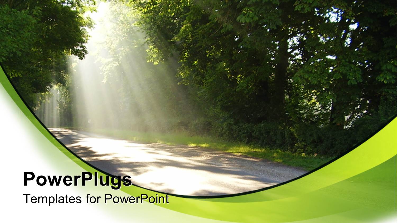 Country Road Driving Through big Trees with Sun Rays