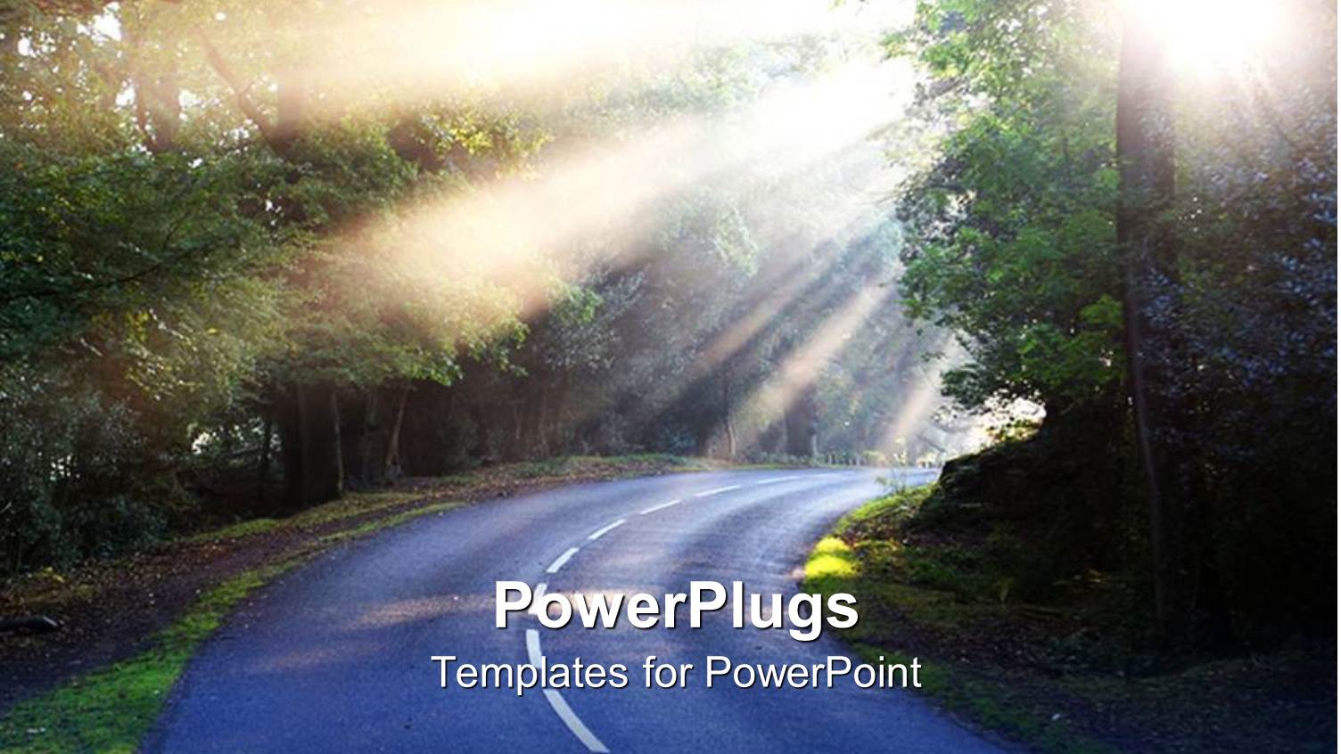 Country Road Driving Through Forest with Sun Rays Through Trees