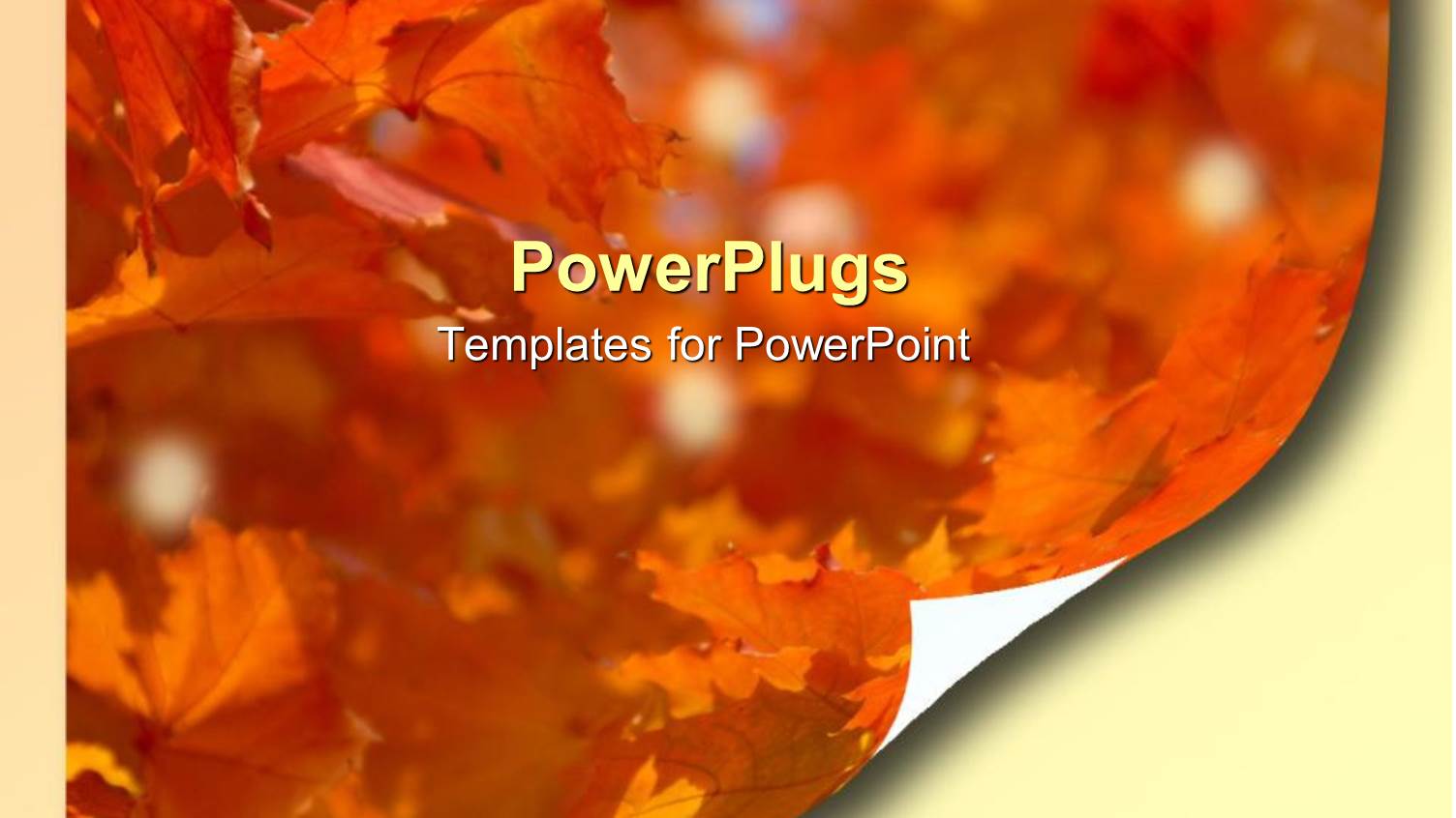 Curled Corner of Page Depicting Autumn Leaves