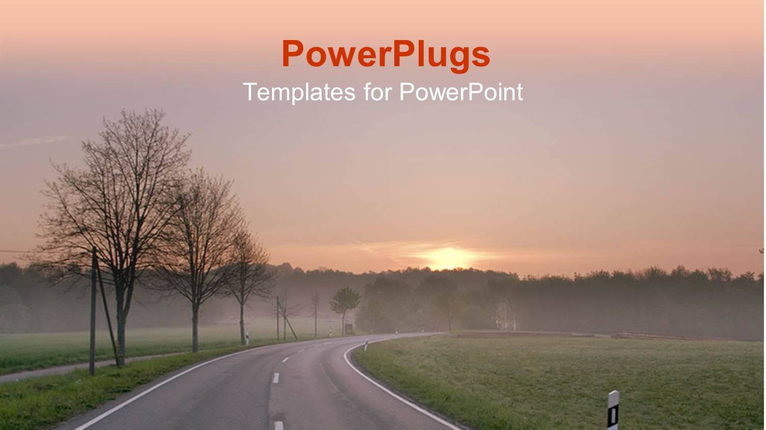 Curved Road Through Green Field and Trees, Forest Near Roads at Sunrise