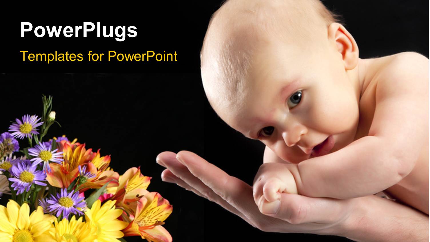 Cute Baby Safe in Father's Hands with Flowers on Black Background 