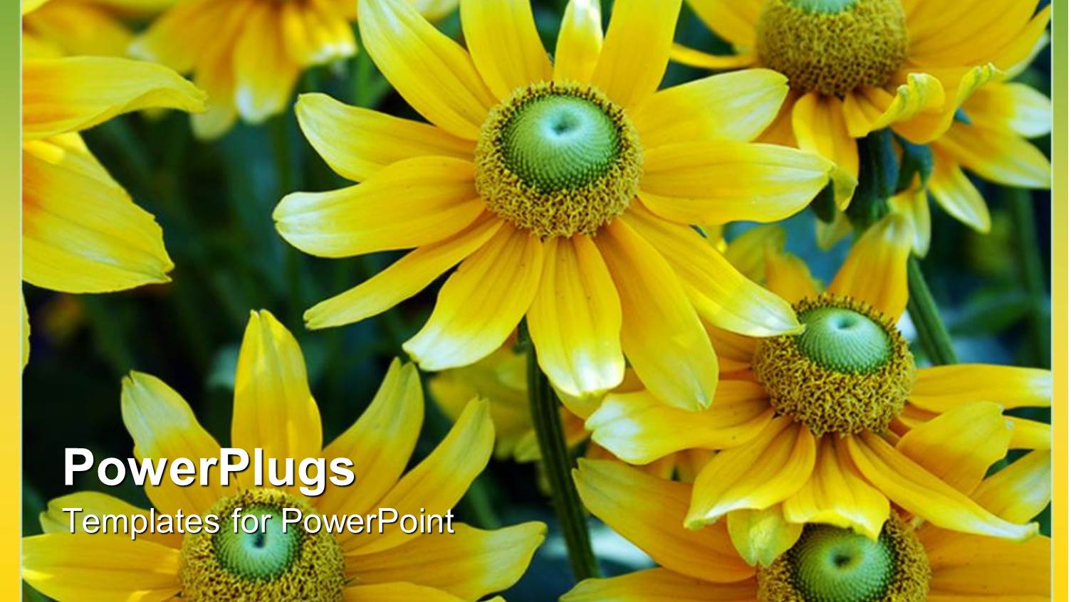 Cute Yellow and Green Flower Sprouting in Garden