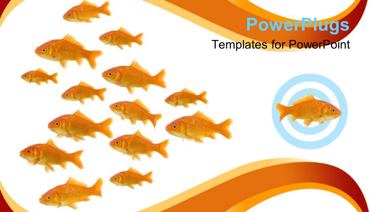 Dare to be Different Metaphor with One Goldfish Swimming in Different Direction from other Fish