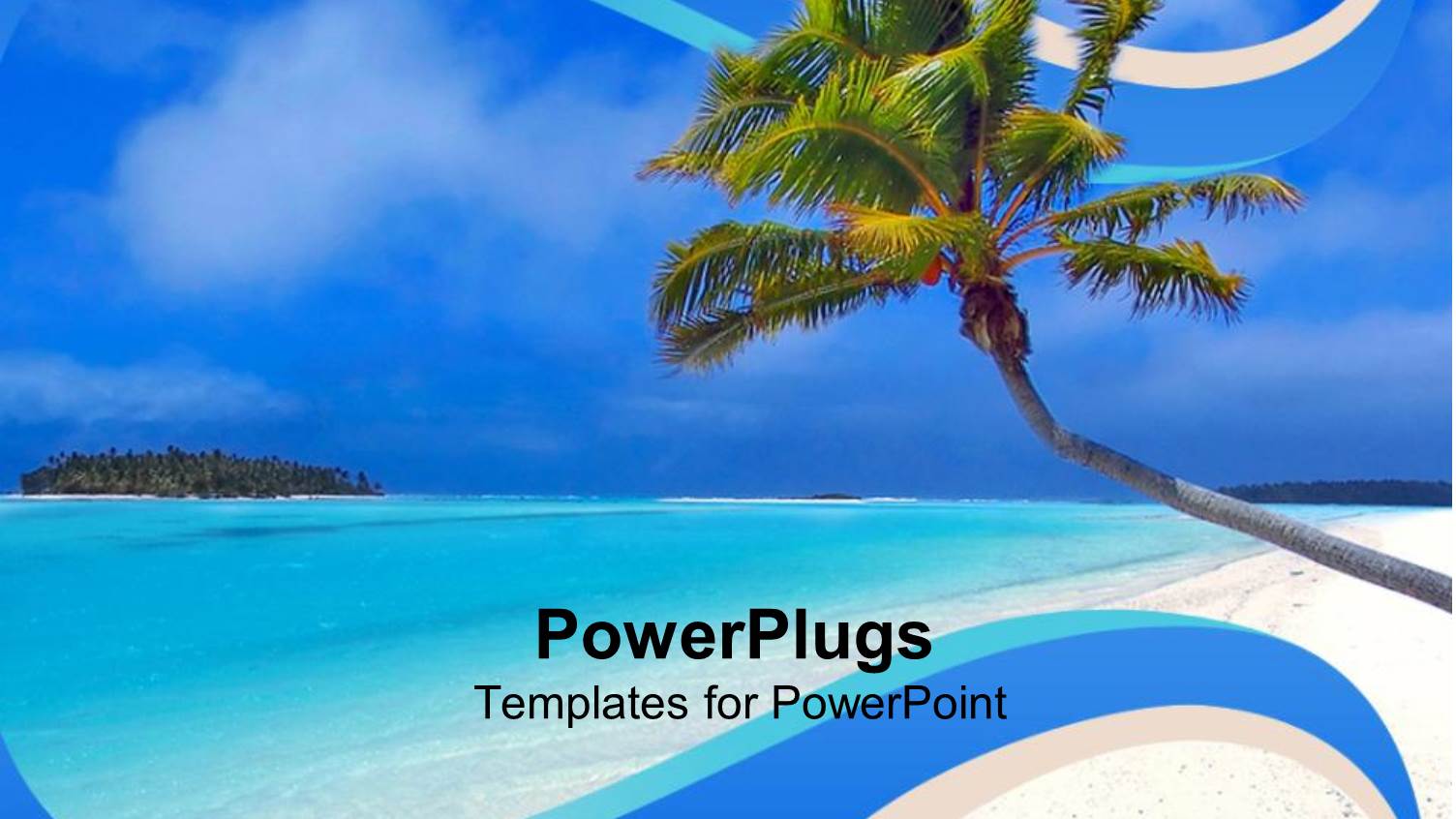 Day Light View of a Leaning Coconut Tree on a Beach