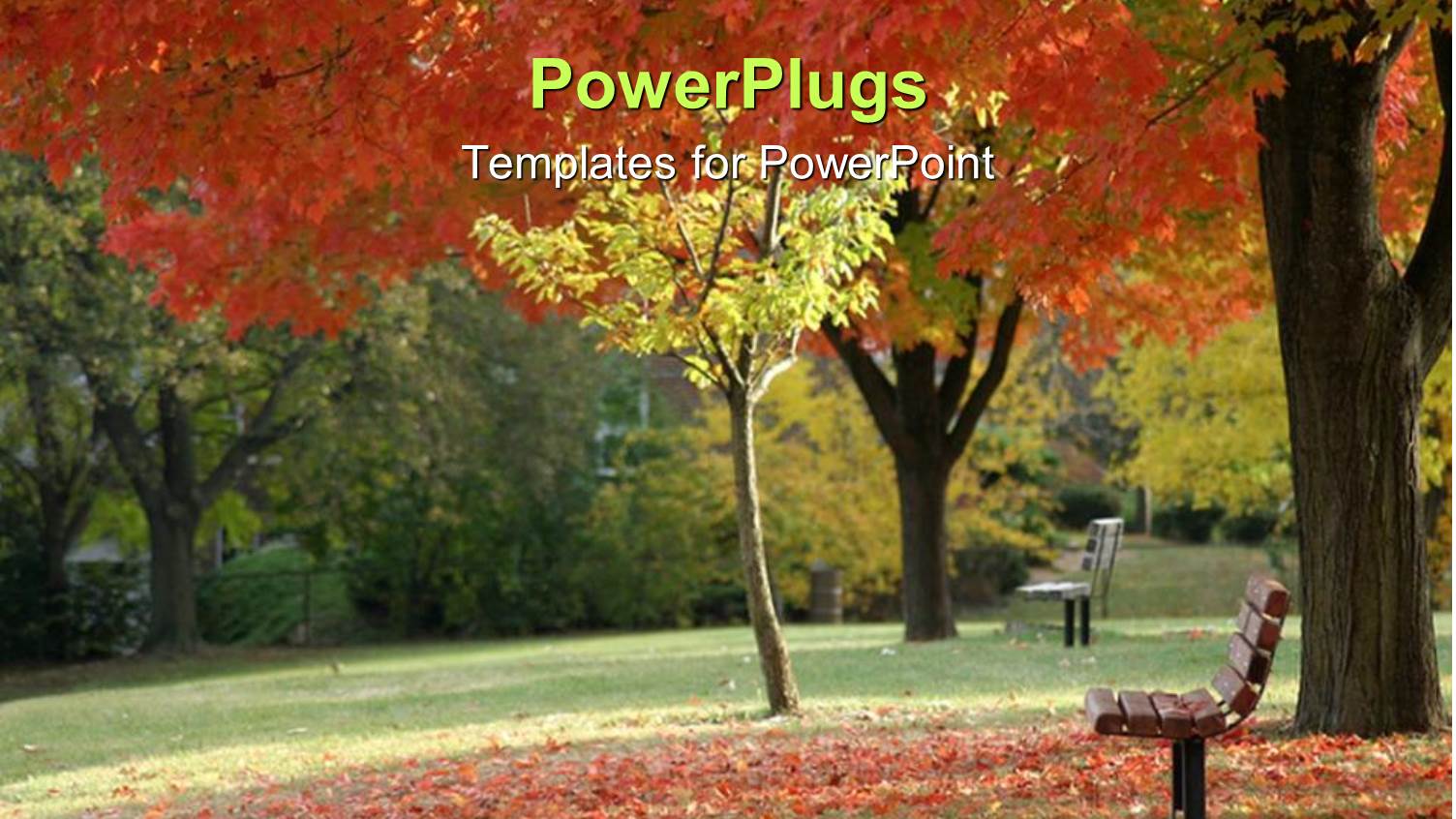 Day Light View of a Park with Autumn Trees