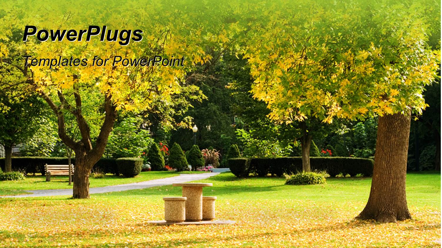 a Day Time View of an Autumn Season on a Park