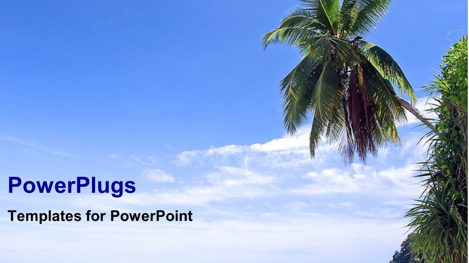 Day Time View of a large Rocky Cave on an Ocean