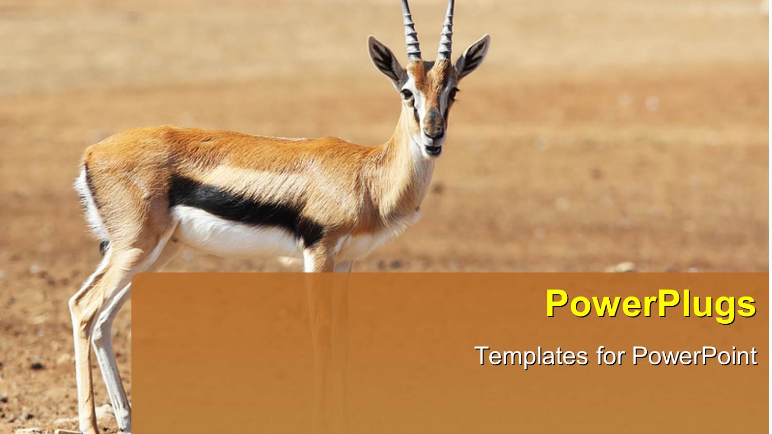 a Deer in a Safari Park and Place for Text