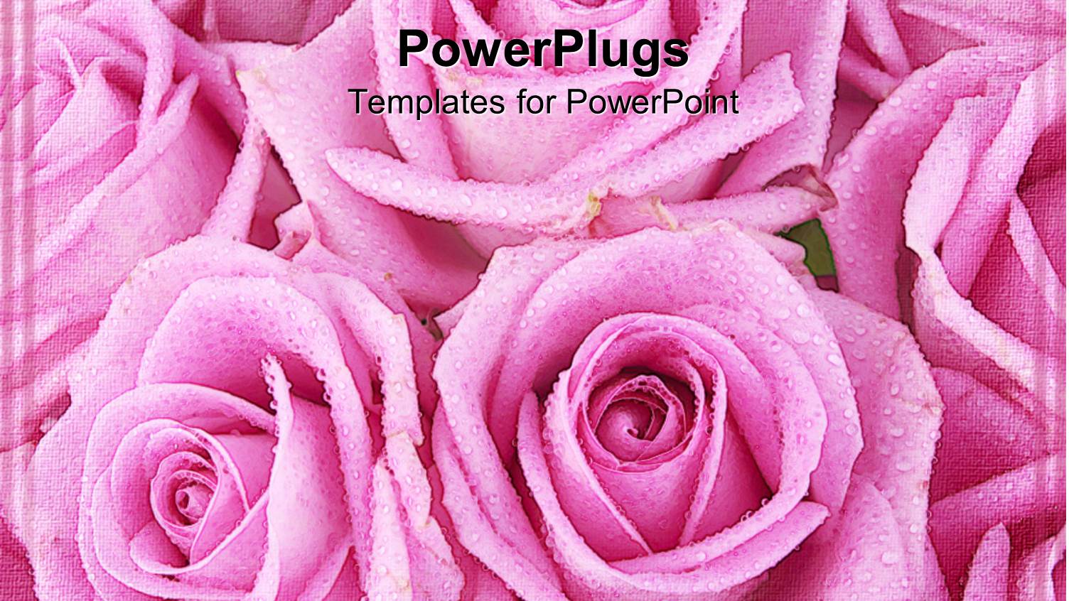 Depiction of a Bouquet of Lots of Soft Pink Rose Petals