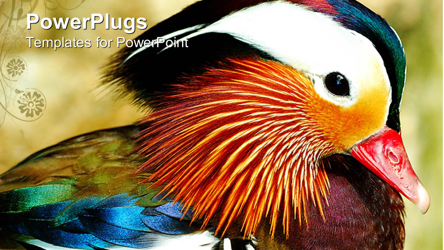 Depiction of a Colorful Bird with a Blurry Background