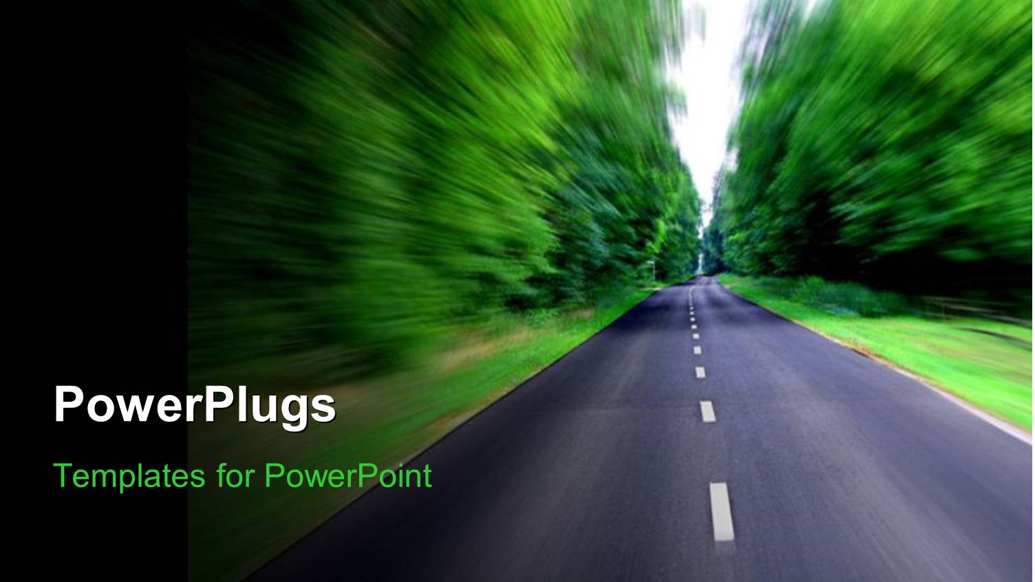 Depiction of High Speed with Clean Road Between Thick Forest