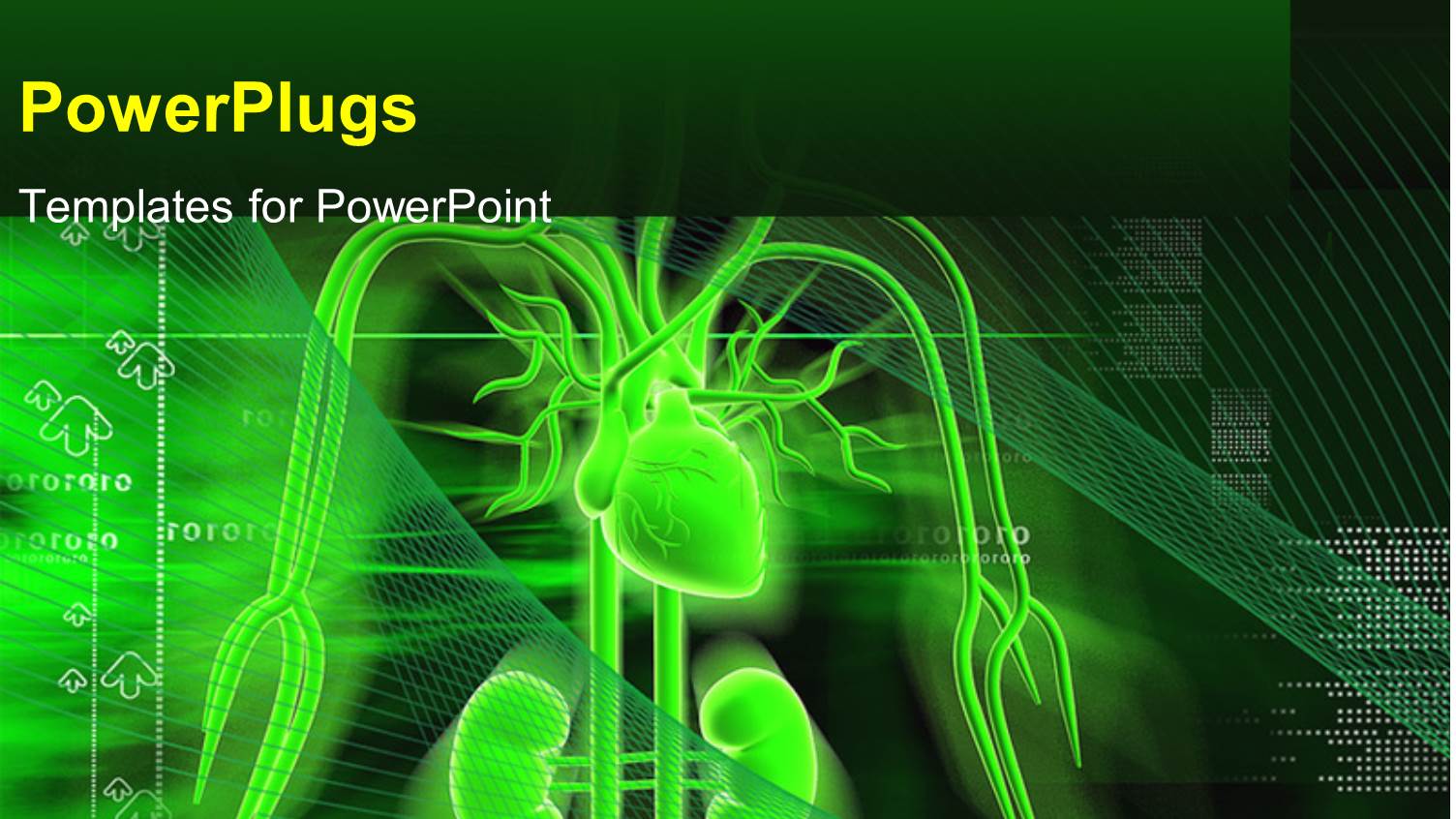 Depiction of Human Anatomy with Heart, Kidney and Nerves on a Digital Background