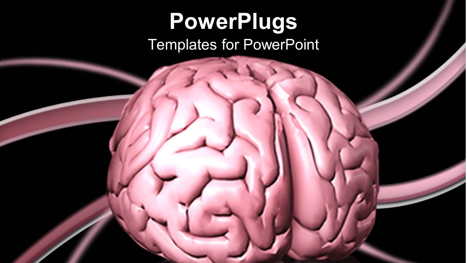 a Depiction of Human Brain with Various Lines in the Background