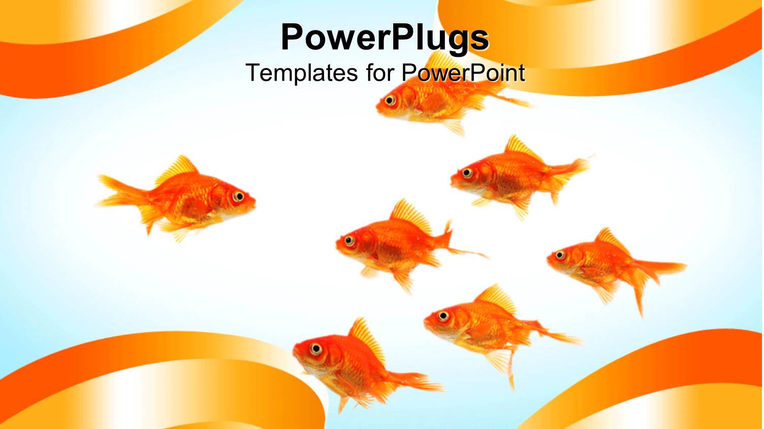 Depiction of Lots of Gold Fishes on a White Background