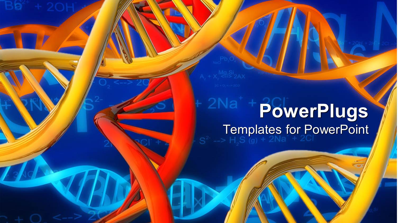 a Depiction of Various DNA Models Placed Together Along with Formulas