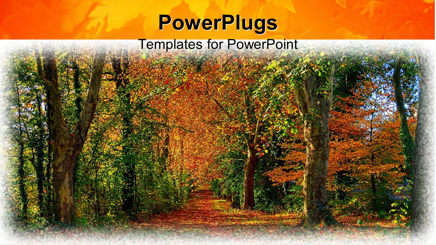 Different Shades of Tress Showing the Season of Coming Autumn