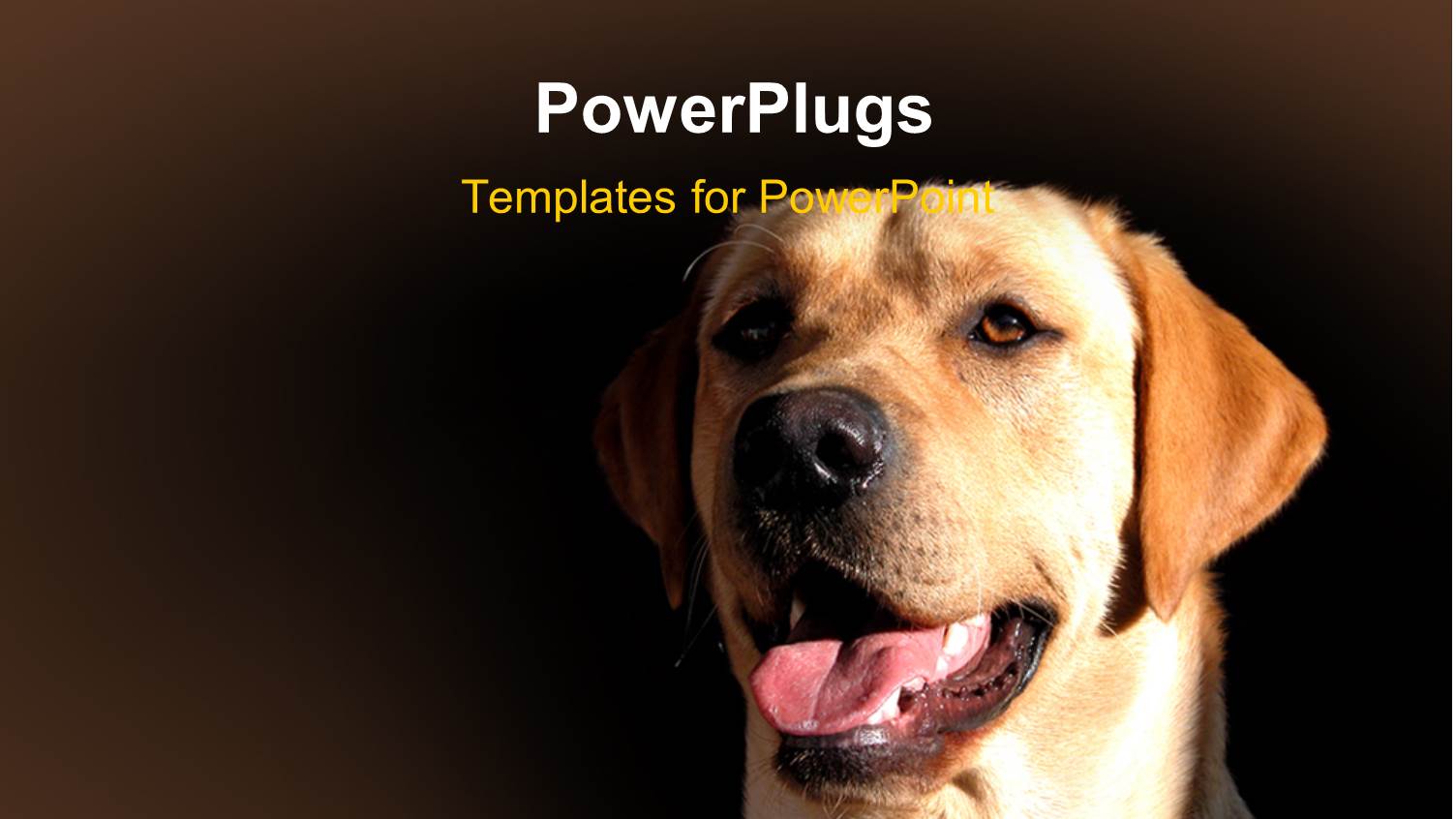 a Dog with Brownish Background and Place for Text