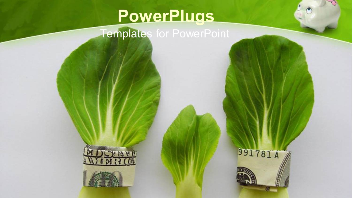 Dollar Bills with Cabbage Leafs and a Piggy Bank