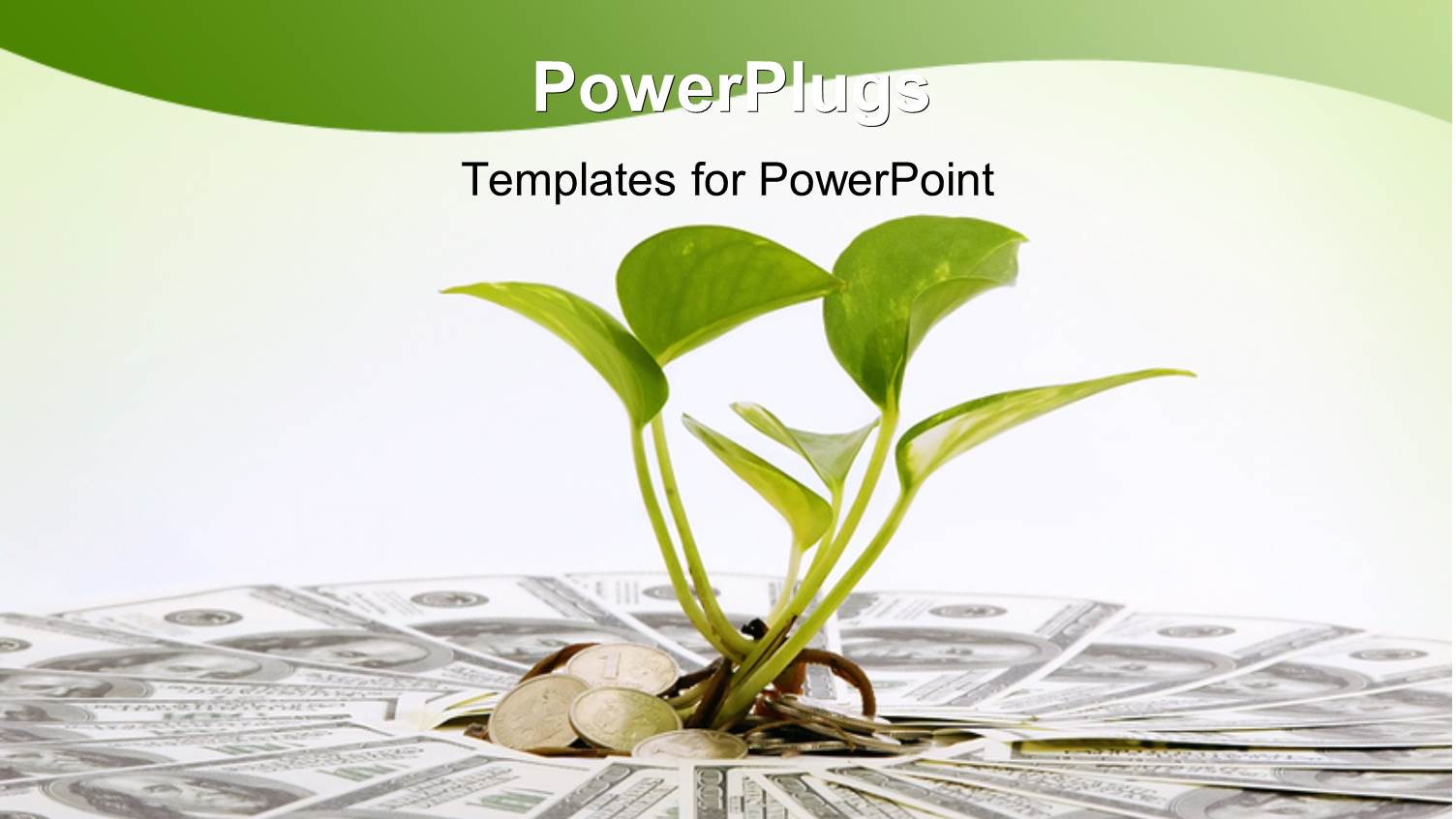 Dollar Bills Forming Circle with Plant Growing Out of Center