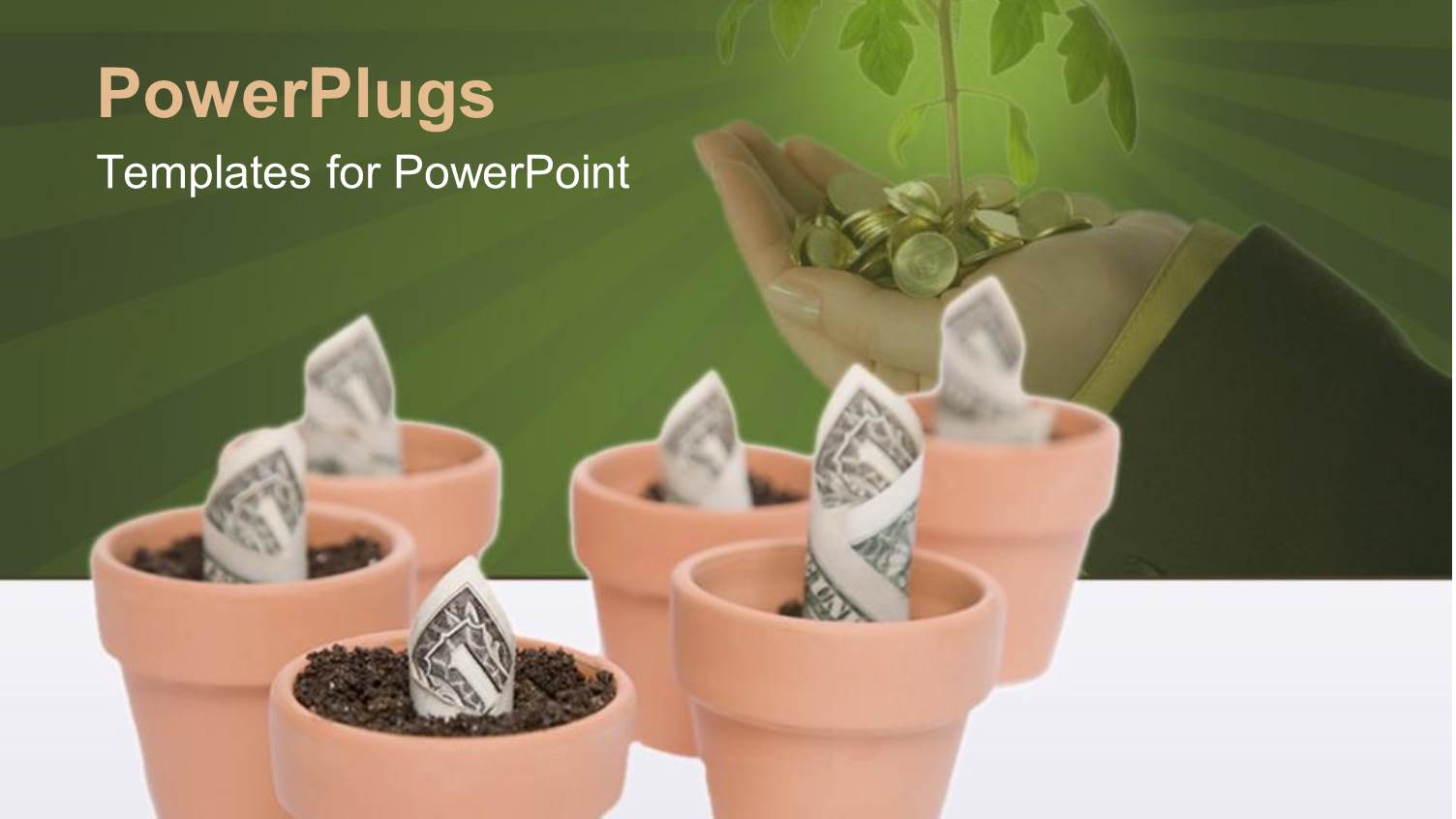 Dollar Bills Growing from Brown Clay Pots with Hand Filled with Gold Coin