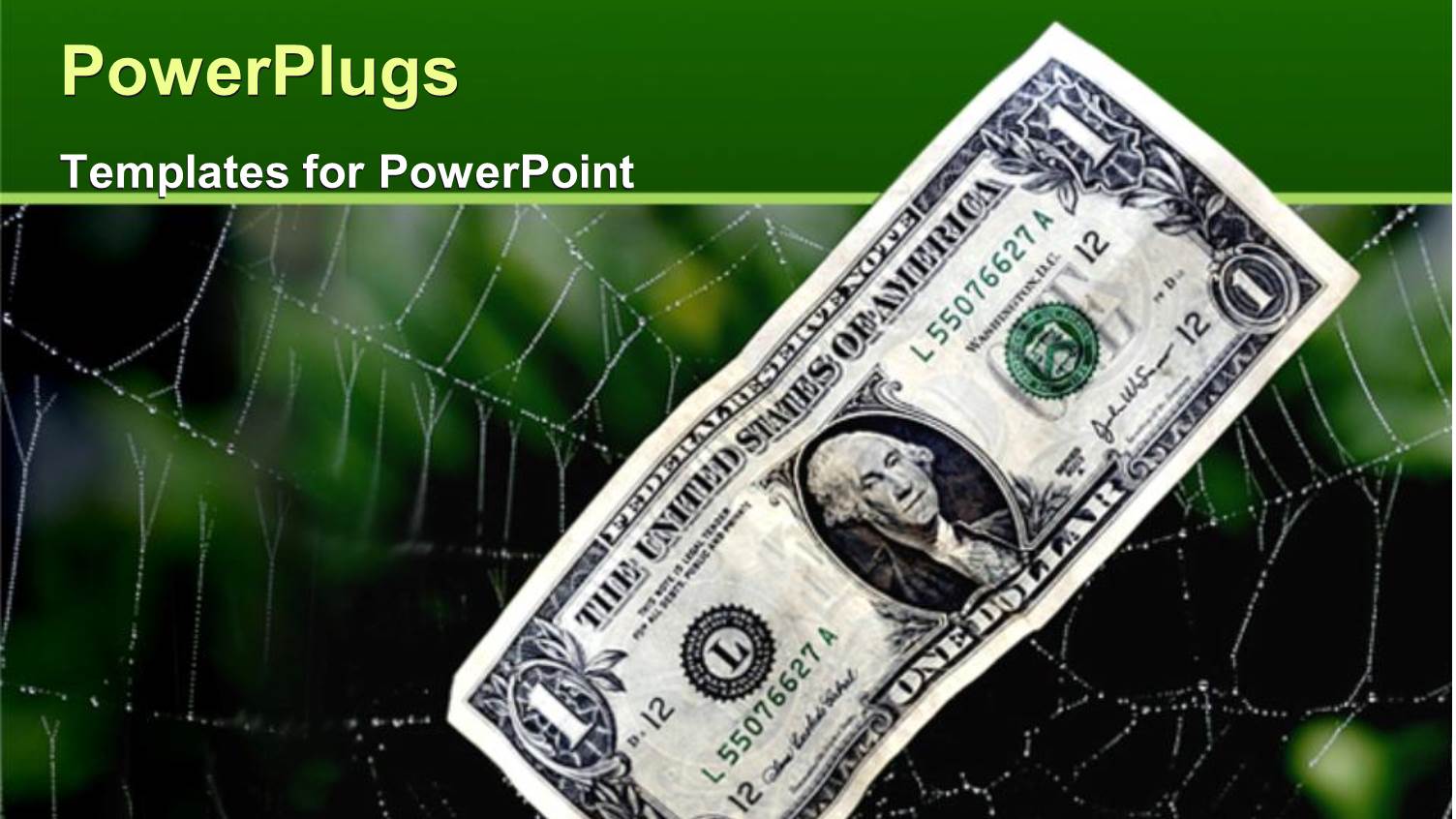 a Dollar Note with Web in the Background