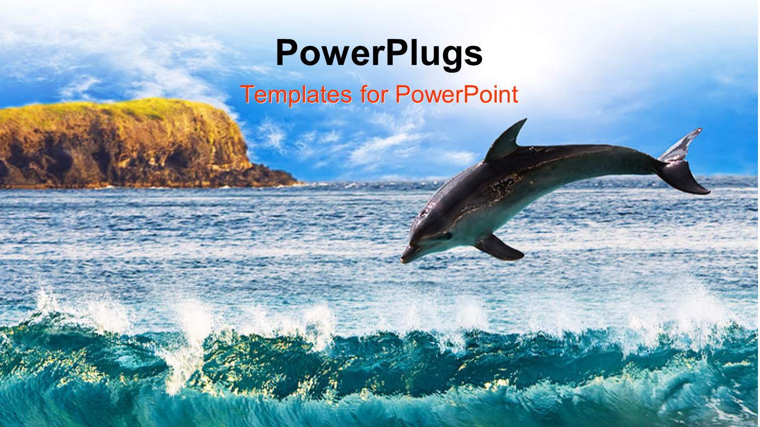 a Dolphin Jumping in the Ocean with Mountains in the Background