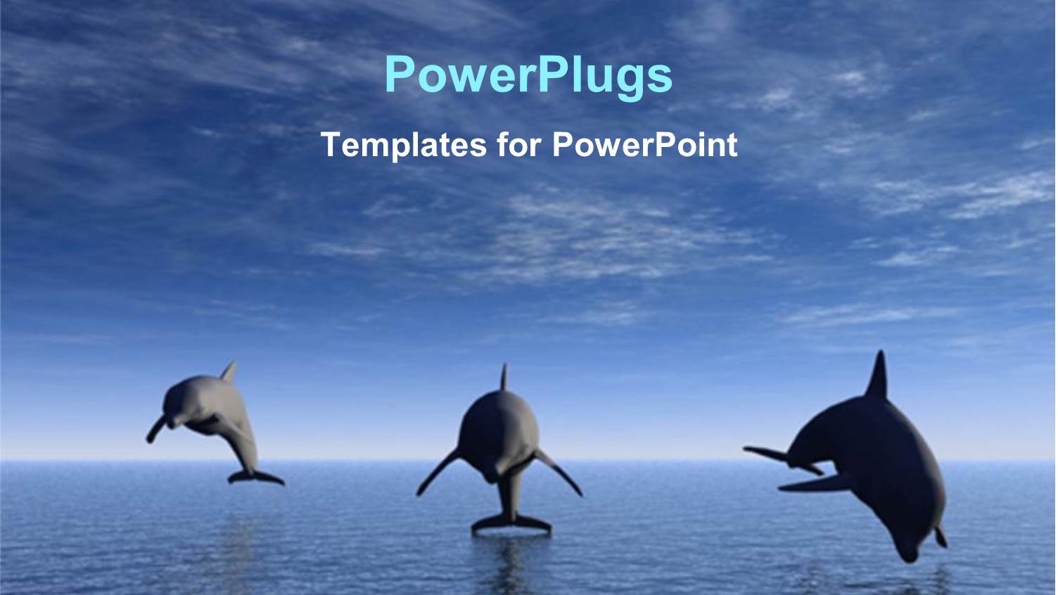 Dolphins Swimming Ocean Jumping Dolphins Blue Skies