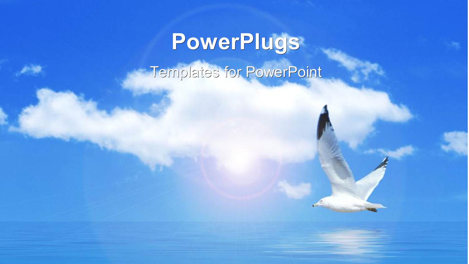 a Dove Flying Over a Blue Sky and Clear Ocean