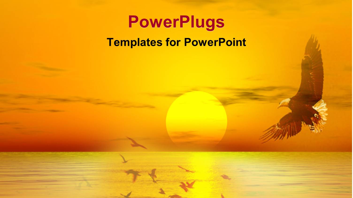 Eagle Flying Over Sea with Sunset on the Horizon