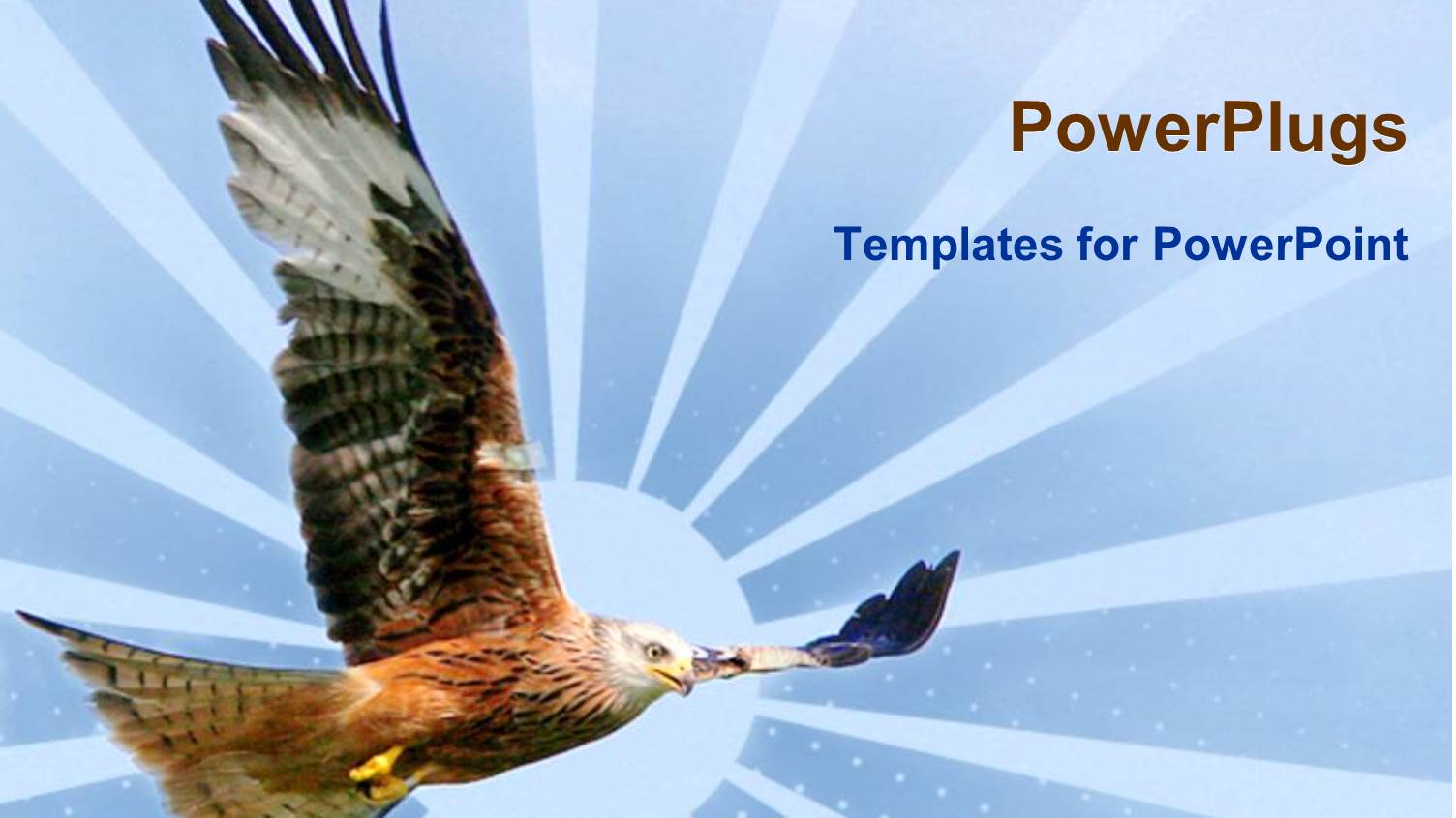 Eagle Flying with Wide Open Wings Design Depiction of Sun with large Rays on Blue Background