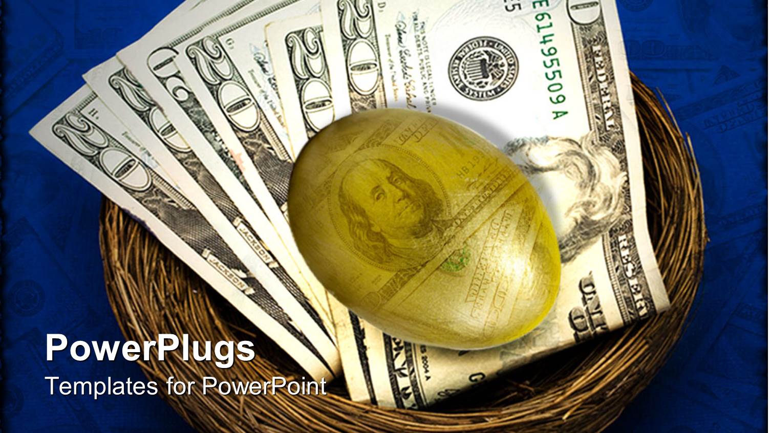 an Egg and Dollar Notes in a Nest