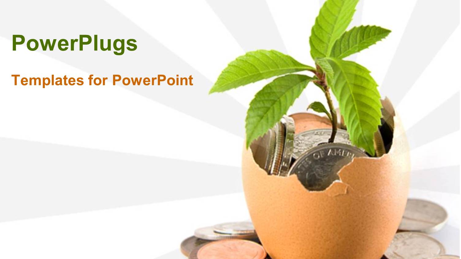 Eggshell with Seedling and Coins, Growing Nest Egg