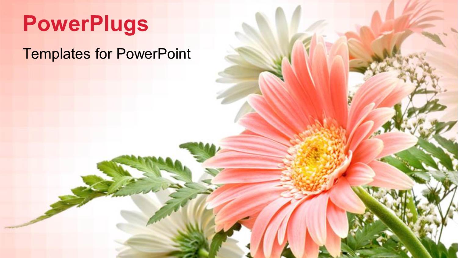 Elegant Composition of Gerbera Flowers with Delicate Colors