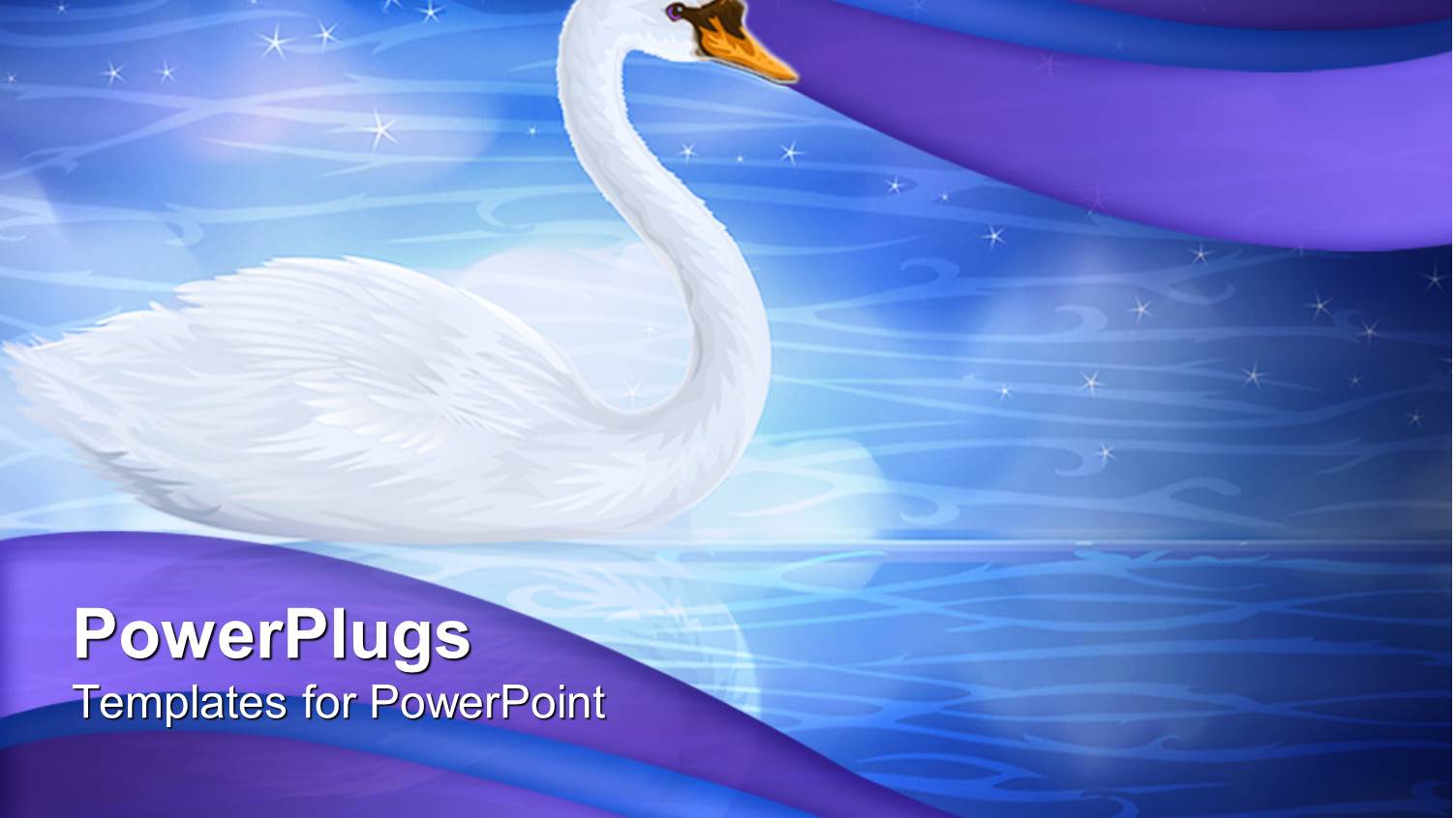 Elegant White Colored Swan on a Blue Calm Lake