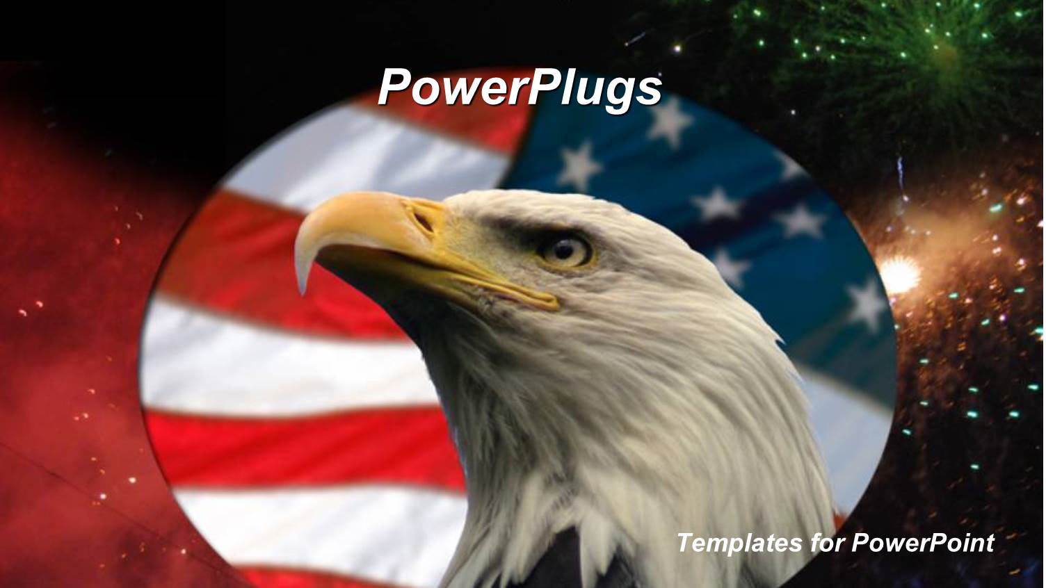 Encircled Hawk Looks on in Front of American Flag