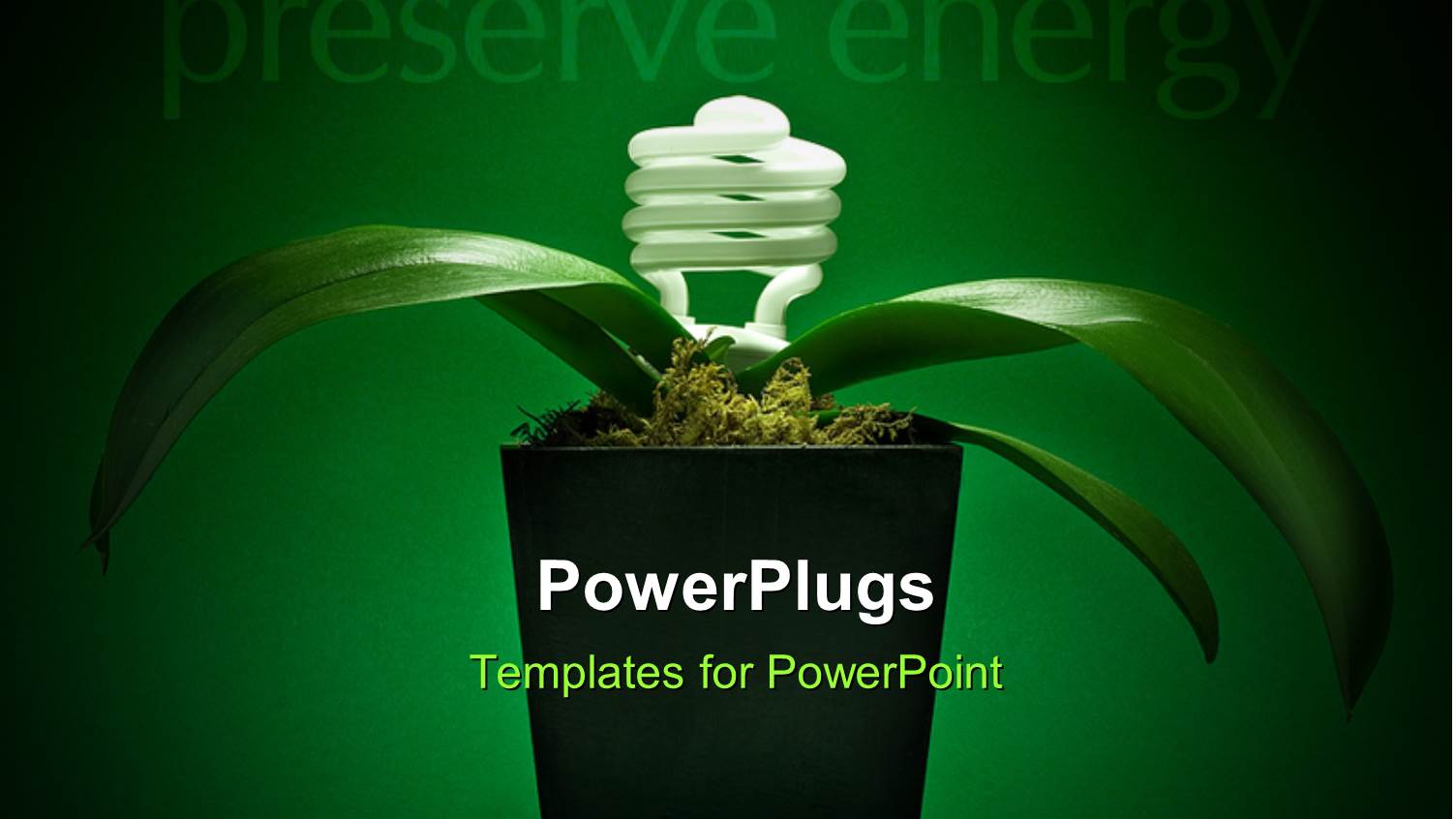 Energy Preservation Concept with Light Bulb Growing Plant with Green Color