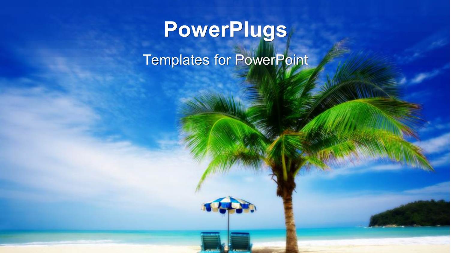 Evening View of a Beach with a Palm Tree