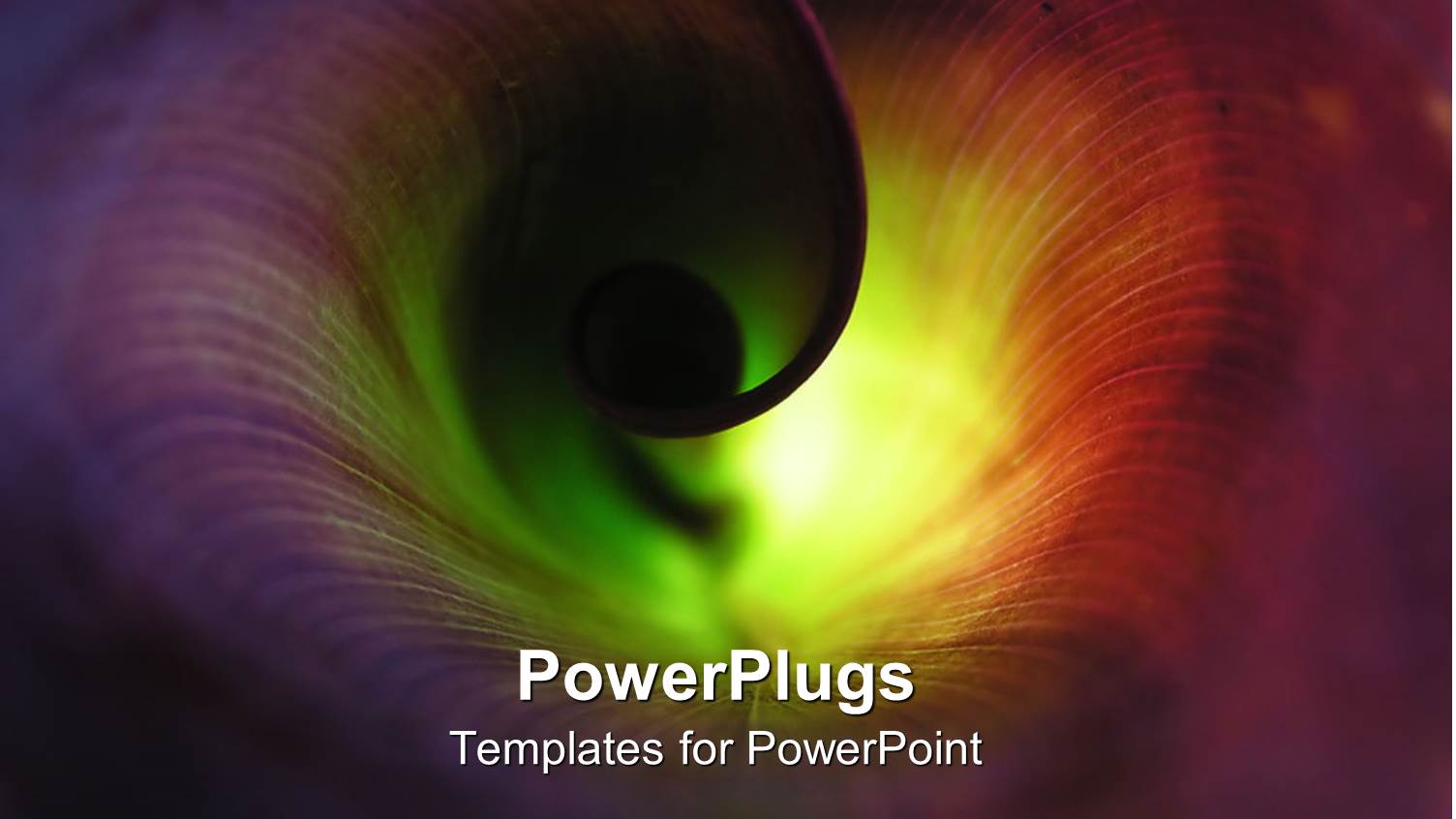 Extreme Close Up of Spiraling Leaf in Rainbow Colors